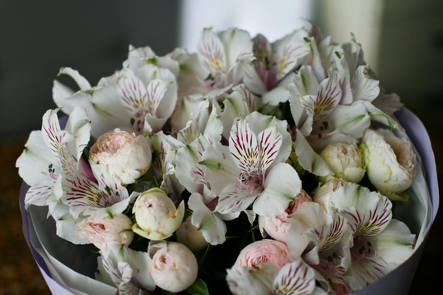 Fleur & Feuille